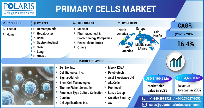 Primary Cells Market Share, Size